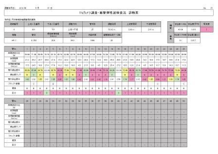 管路診断 診断票