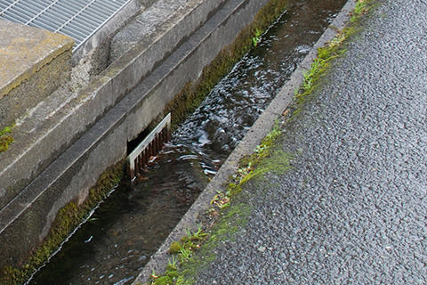 内かばたから流れ出る水の水紋