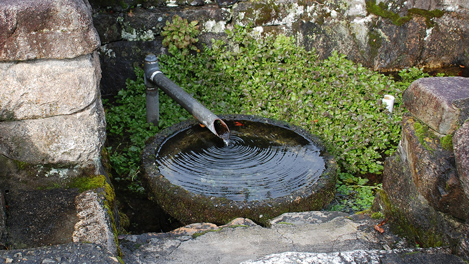 かばたに湧く針江の生水