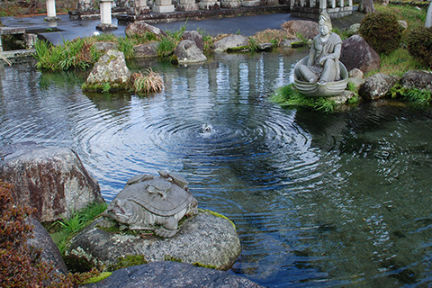 【水のある旅】平成の名水百選「針江の生水（しょうず）」、かばたを巡る旅 