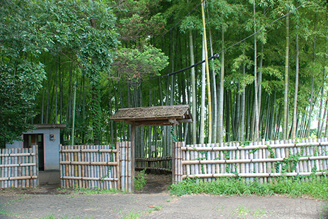 竹林公園