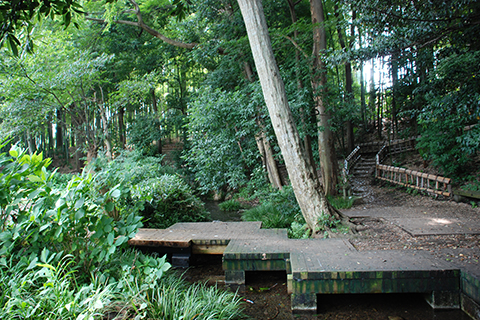 竹林公園の湧水