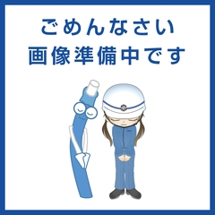 下水道用エスロンパイプ ゴム輪受口15°曲管(差し口) 15SR 150（品番